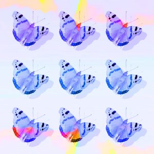 pattern-study-papillons